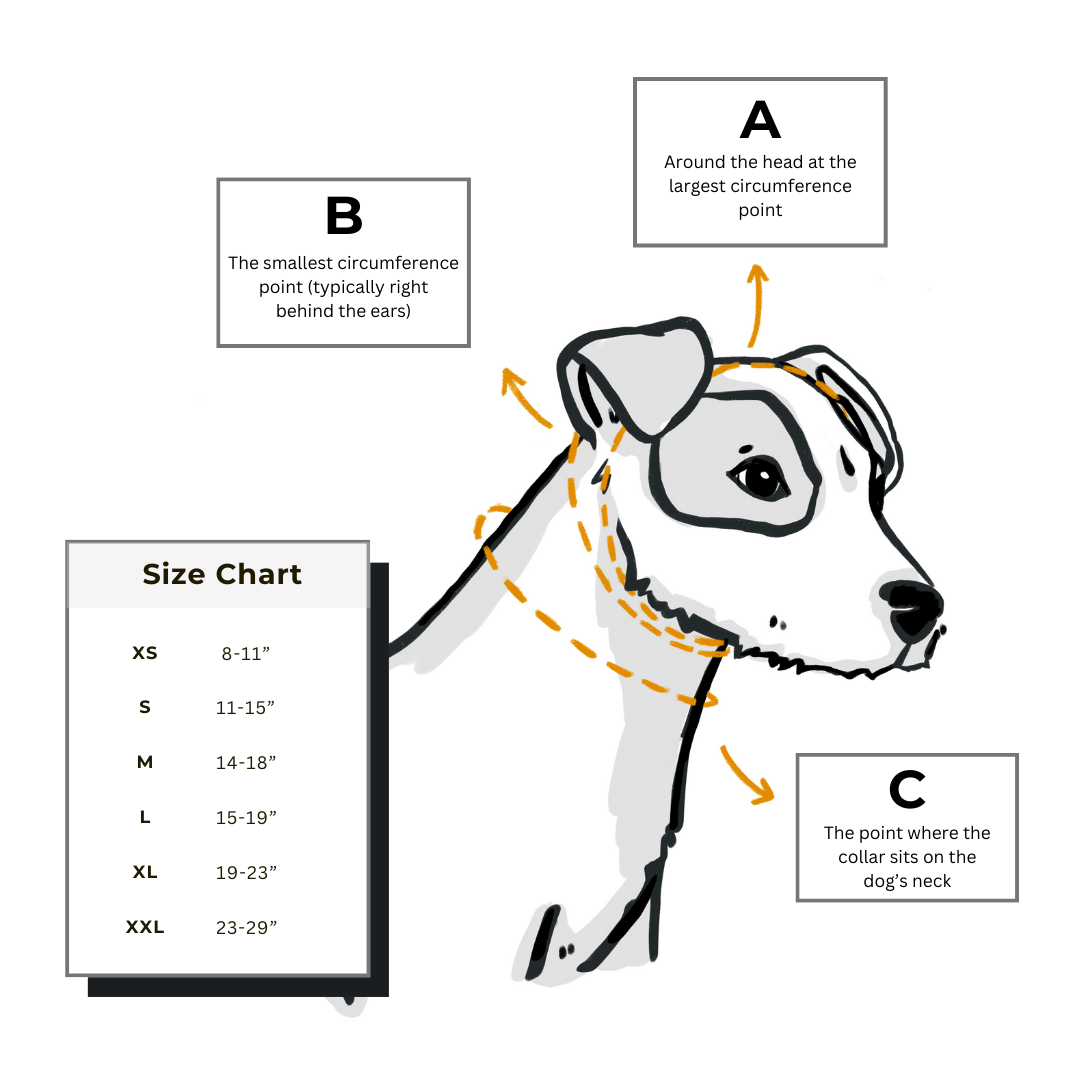SIZING Mackenzie Dog Collars